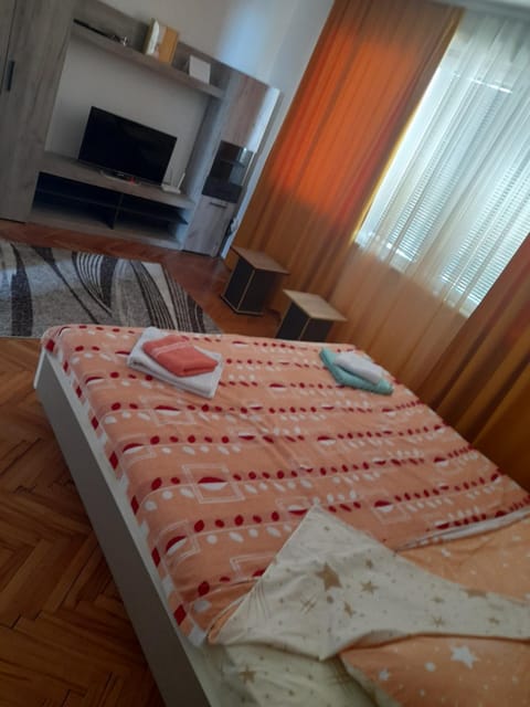 Lala Apartment in Serbia