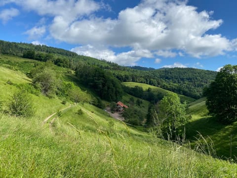 Natural landscape, Mountain view