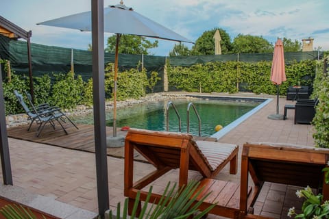 Patio, Garden, Garden view, Pool view, Swimming pool, sunbed