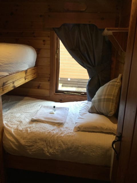 RIVERSIDE LODGE RETREAT Apartment in Scotland