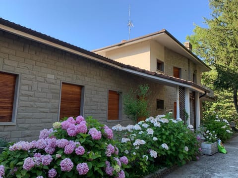 Property building, Garden