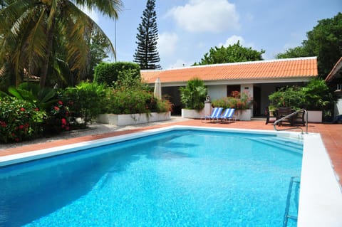 Garden, Garden view, Swimming pool