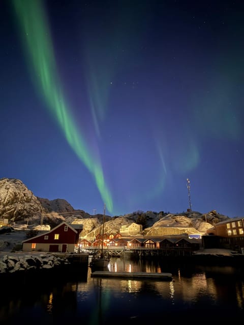Modern seaview rorbu - Free parking - Odinbua House in Lofoten