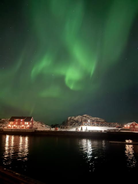 Modern seaview rorbu - Free parking - Odinbua House in Lofoten