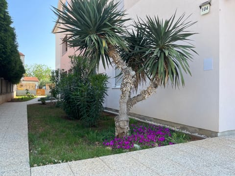 Day, Garden, Garden view