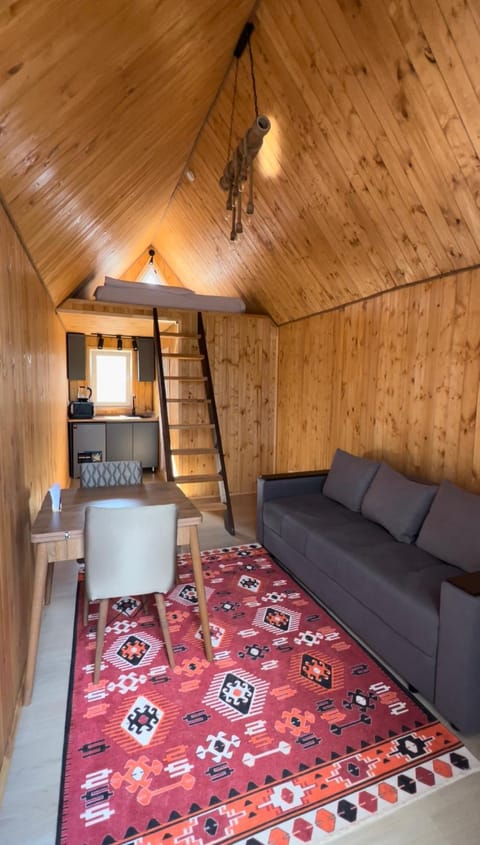 Bed, Kitchen or kitchenette, Photo of the whole room, Seating area, Dining area