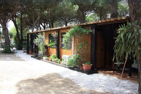 Facade/entrance, Garden, Lobby or reception