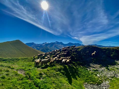 Natural landscape, Hiking