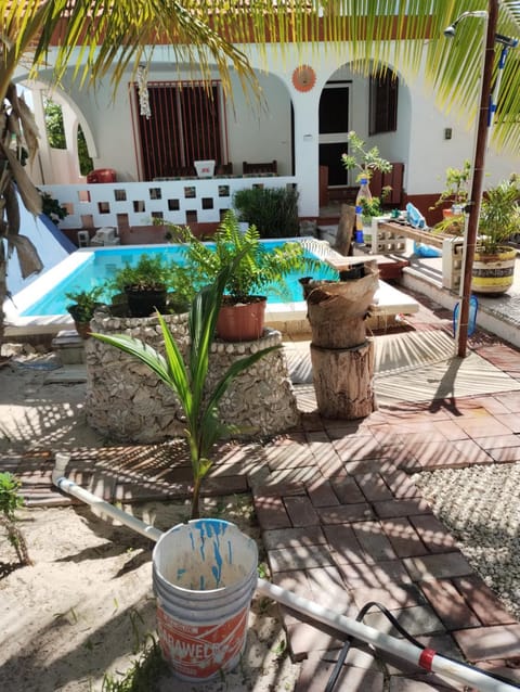 Garden, Garden view, Pool view, Swimming pool