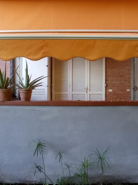 Appartamento comodo a Castiglione della Pescaia Apartment in Castiglione della Pescaia