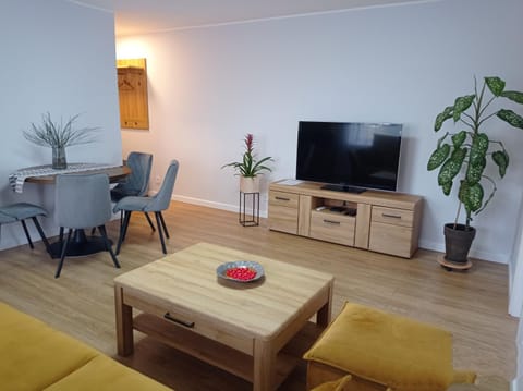 TIMO butas Apartment in Lithuania