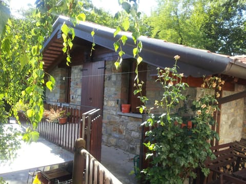 Property building, Day, Garden view