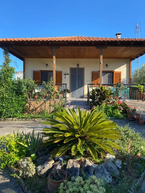 Property building, Day, Garden, Garden view