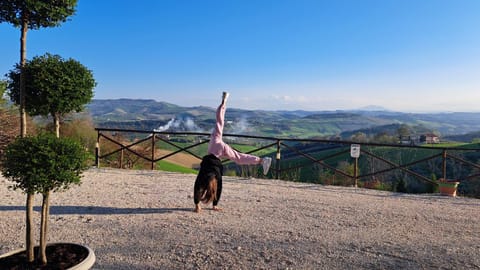 Tenuta Nonno Peppe Apartment in Fermo