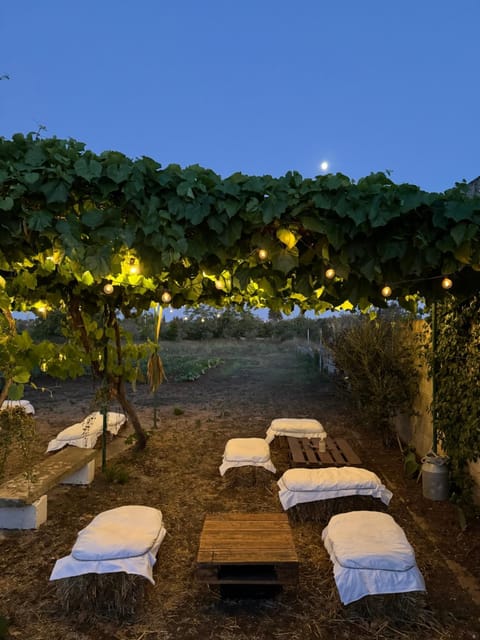 Night, Natural landscape, Garden, Garden view
