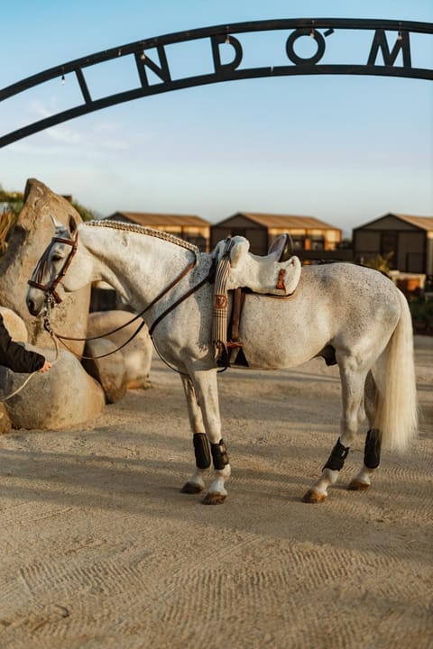 Horse-riding