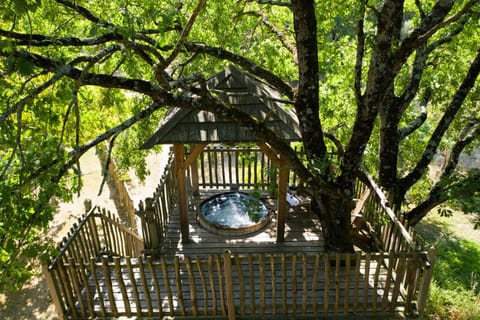 Nearby landmark, Natural landscape, Garden, Garden view