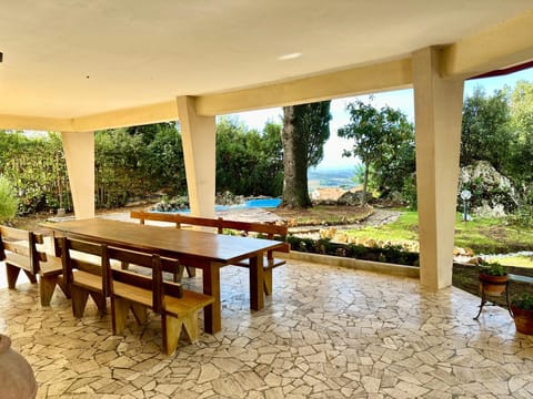 Patio, Day, Garden view