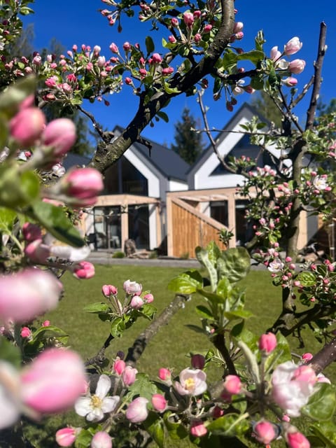 DOMIKO House in Pomeranian Voivodeship