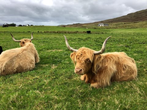 Barnweil Bed and Breakfast in Scotland