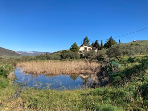 Natural landscape, Lake view