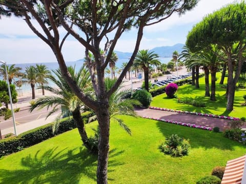 Garden, Beach, Sea view