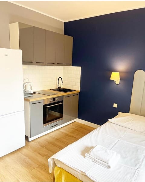 Bed, Kitchen or kitchenette, Photo of the whole room, Bedroom, oven, pet friendly, stove