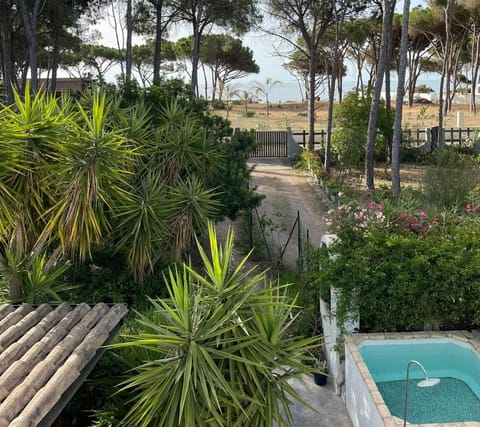 Property view
