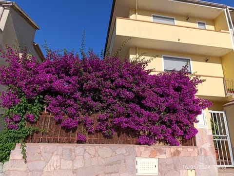 Bouganville House in Olmedo, Sardinia