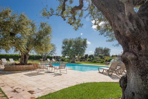 Summer, Garden, Garden view, Pool view, Swimming pool, sunbed