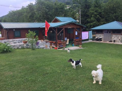 Cottage Ravna Rijeka House in Montenegro