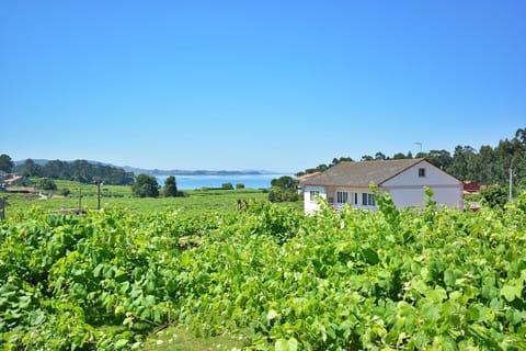 Property building, Off site, Garden, Sea view