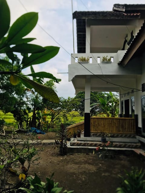 Property building, Garden, Balcony/Terrace