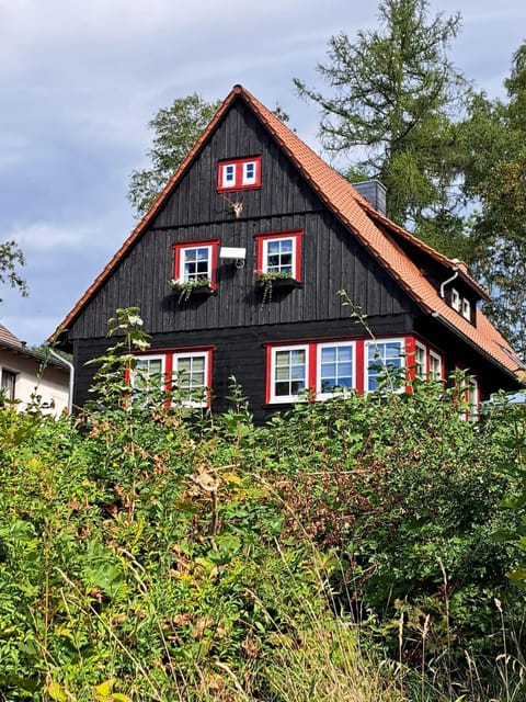 Property building, Spring, Garden