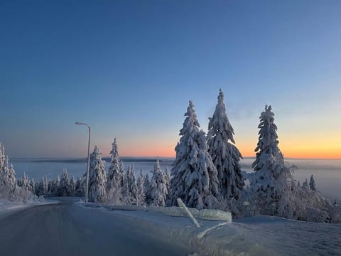 Kärpänrinne A House in Lapland