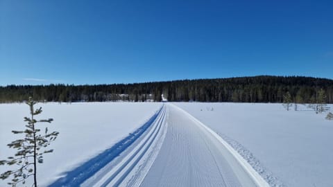 Kärpänrinne A House in Lapland