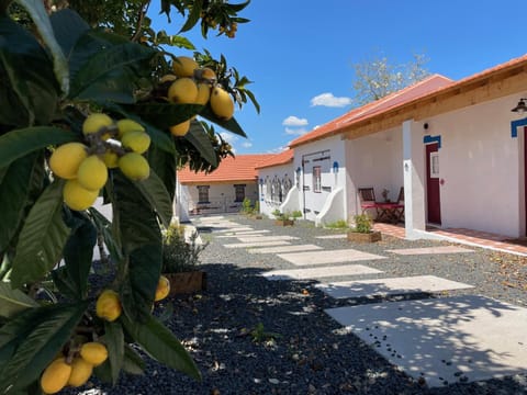 Property building, Spring