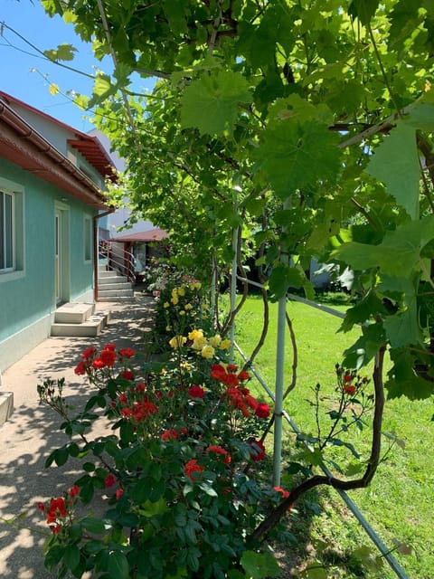 Property building, Day, Garden view