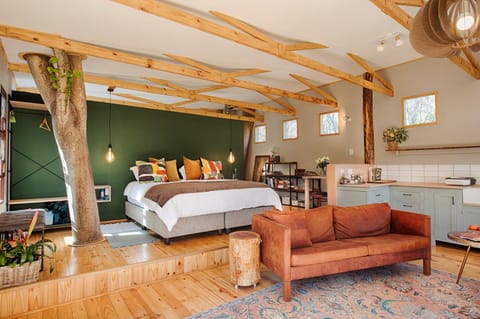 Bed, Kitchen or kitchenette, Living room, Photo of the whole room, Seating area, Bedroom