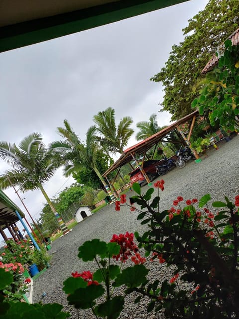 Natural landscape