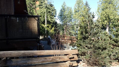 Wild Coast Chalets House in Port Renfrew