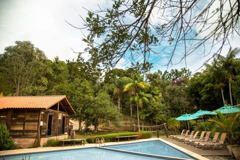Day, Pool view, Swimming pool, sunbed