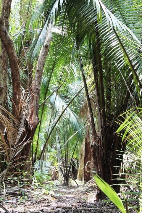 People, Activities, View (from property/room), Animals, River view, Family