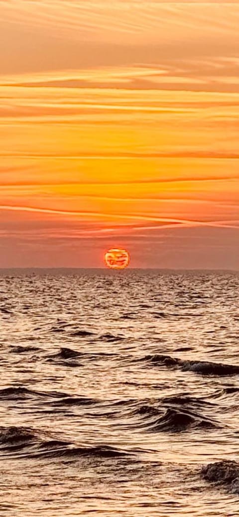 Jantar Oaza Nature lodge in Pomeranian Voivodeship