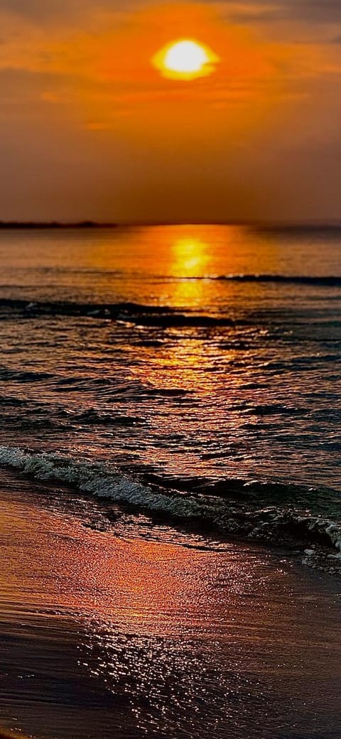 Jantar Oaza Nature lodge in Pomeranian Voivodeship