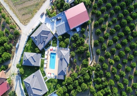 Property building, Garden, Swimming pool, Public Bath