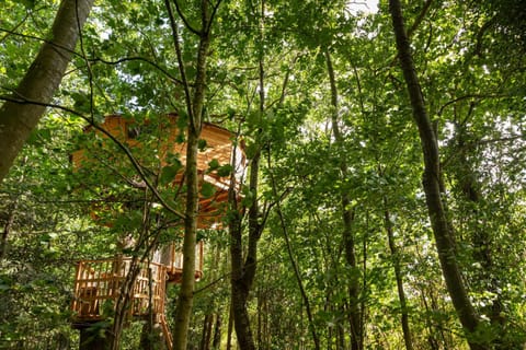 Garden, View (from property/room), Garden view