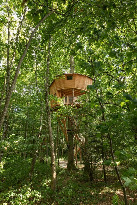 Natural landscape, View (from property/room)