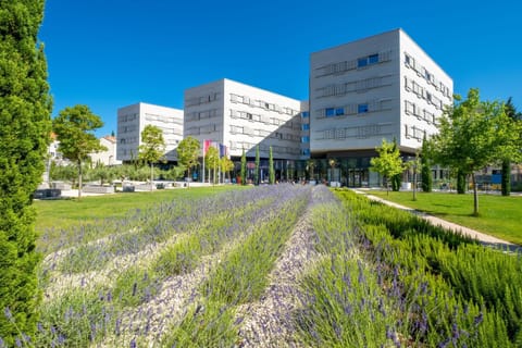 Property building, Day, Garden