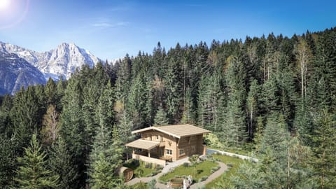 Alpe Chalets Goldener Hirsch Apartment in Tyrol